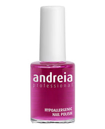 vernis à ongles Andreia Professional Hypoallergenic Nº 13 (14 ml)